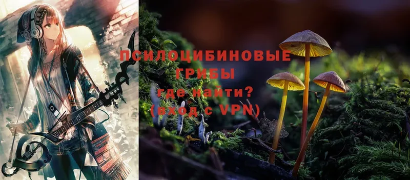 blacksprut как зайти  маркетплейс как зайти  Псилоцибиновые грибы MAGIC MUSHROOMS  Городец 